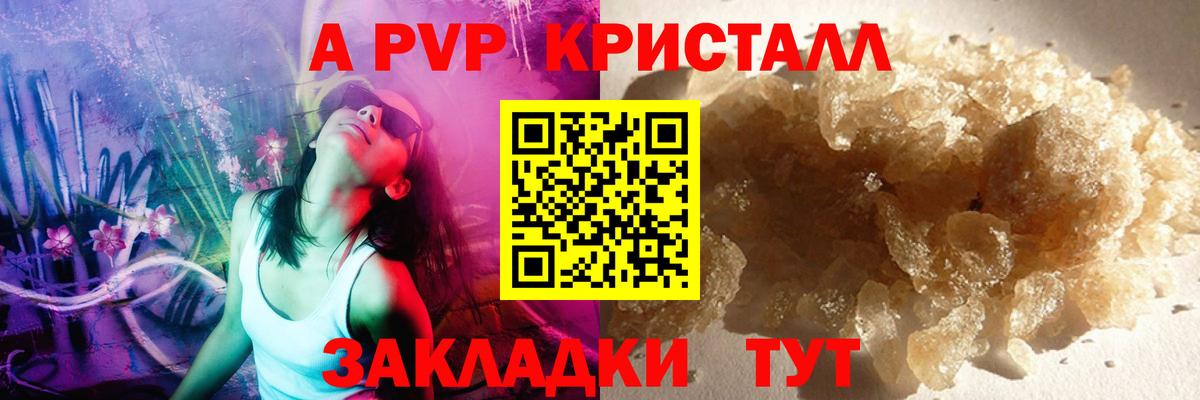 A PVP СК Надым