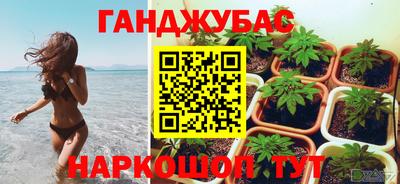 гидра Заволжье