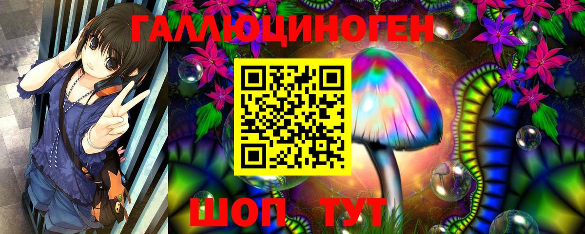 Галлюциногенные грибы GOLDEN TEACHER  Галлюциногенные грибы Psilocybe  купить наркоту  Вход с VPN  Надым 