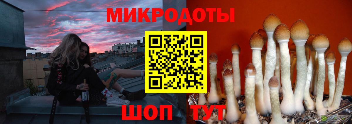 Псилоцибиновые грибы мицелий Надым